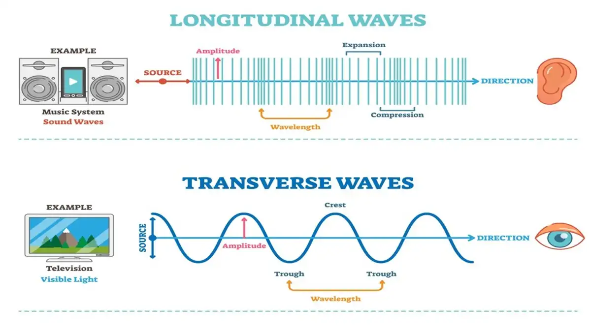 كتاب الوزارة مادة العلوم الصف الثاني الاعدادي الترم الثاني 2026 pdf