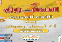 المراجعة النهائية المتفوق عربي الصف السادس الابتدائي الترم الثاني 2026